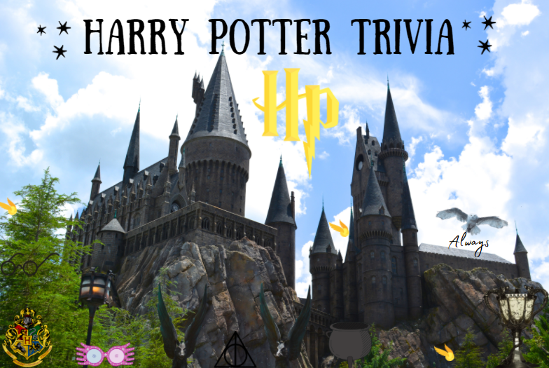 Harry Potter Themed Family Trivia Night!