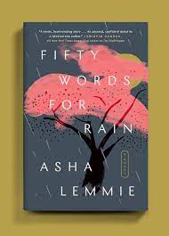 Fifty words for Rain by Asha Lemmie