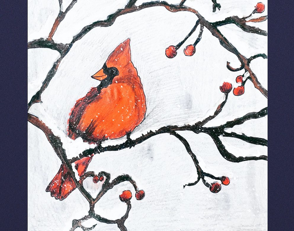 Winter Cardinal Drawing