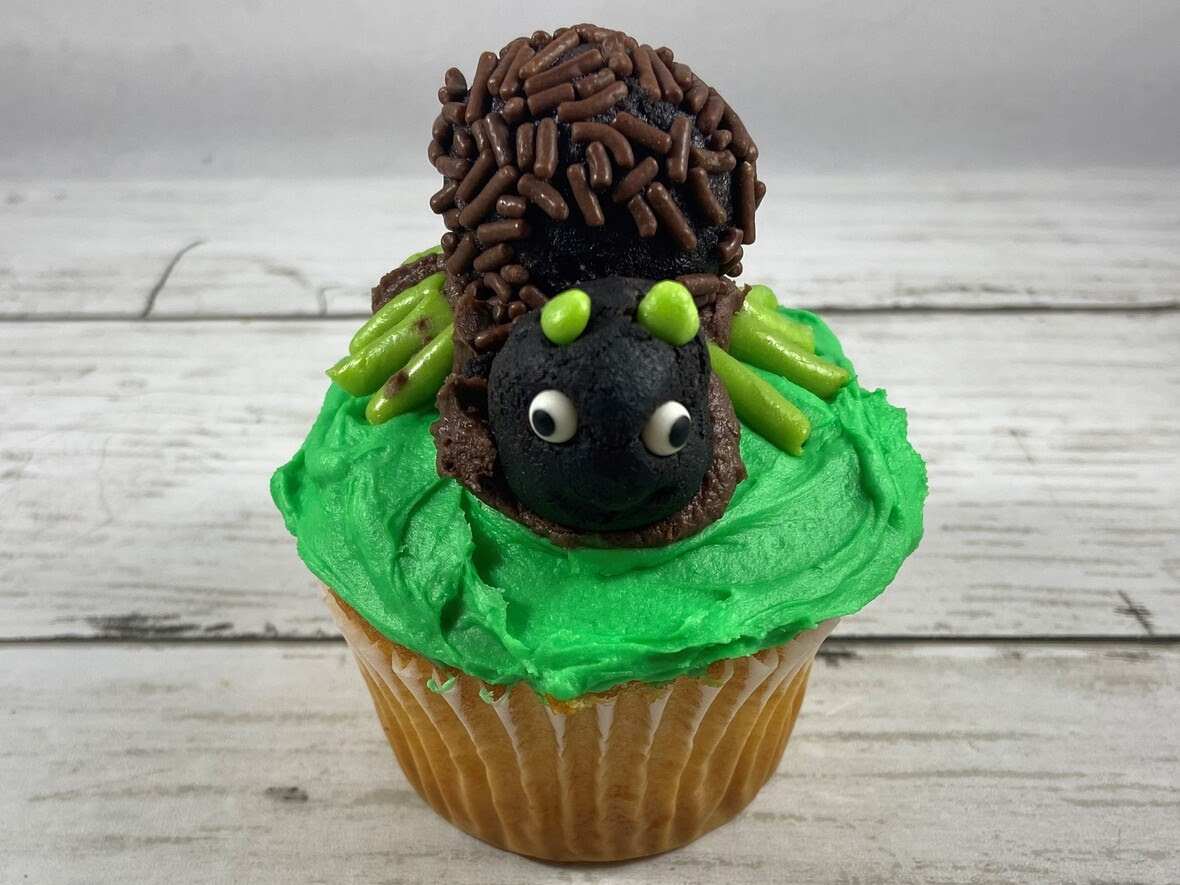 Buggy Cupcakes