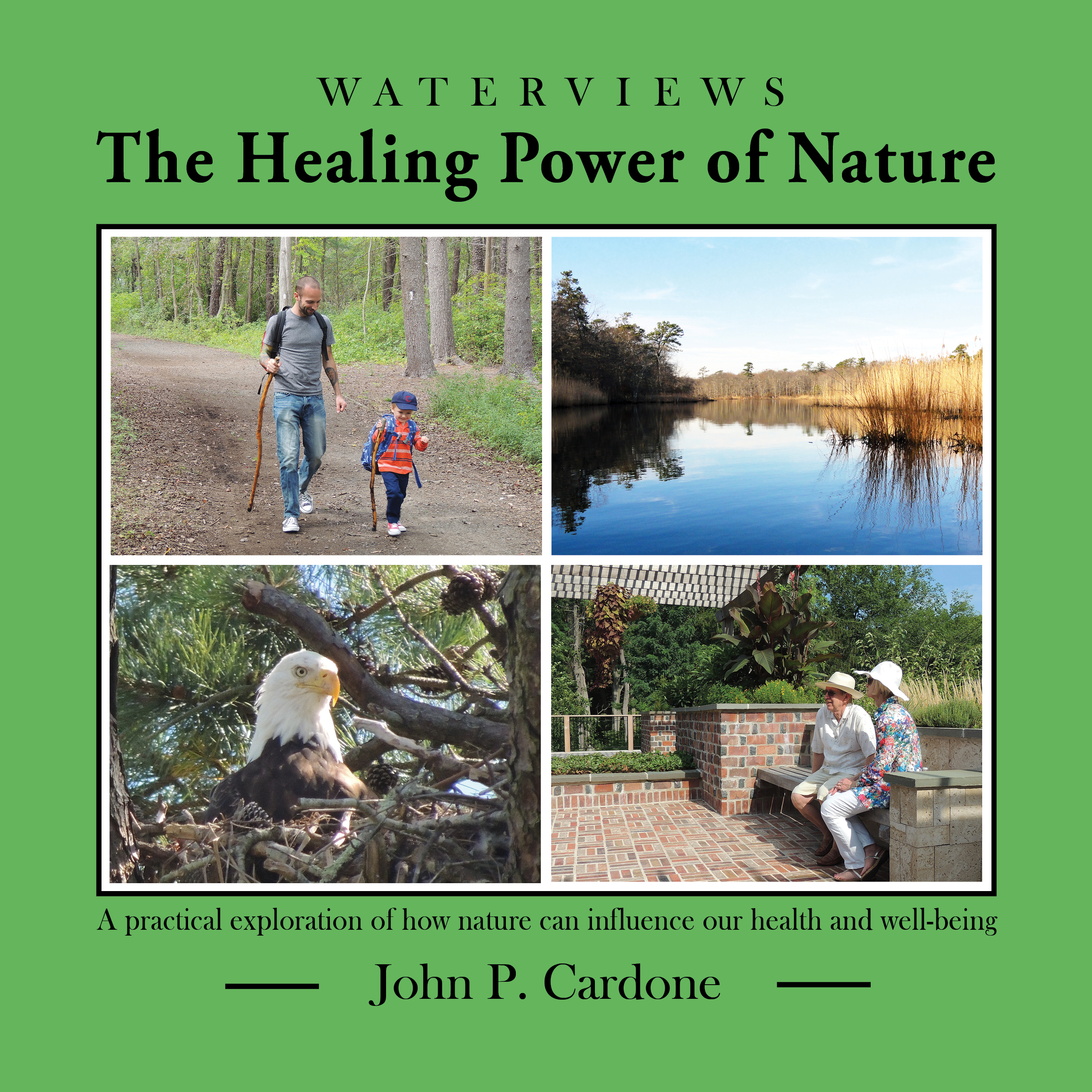 Healing Power of Nature book cover