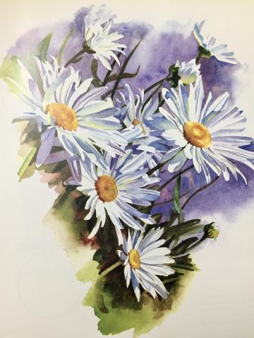 Watercolor Dasies