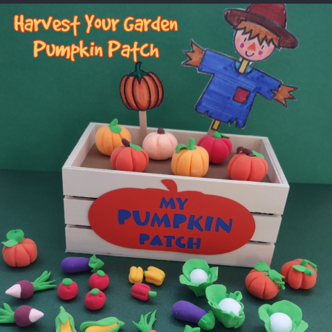 Harvest Your Own Garden Pumpkin Patch