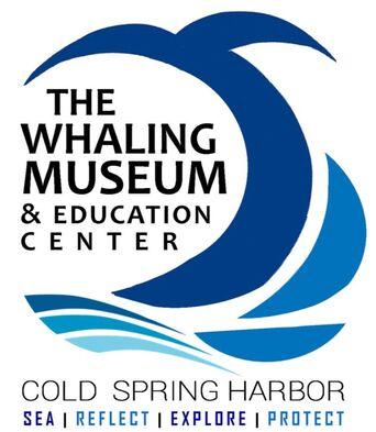 Sense-ational Cetaceans with The Whaling Museum