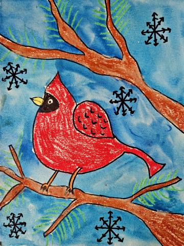 Winter Cardinal