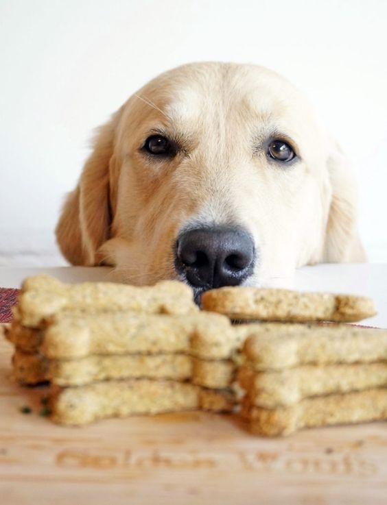 Dog Treats