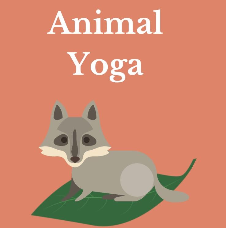 Animal Yoga