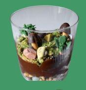 Edible Terrarium